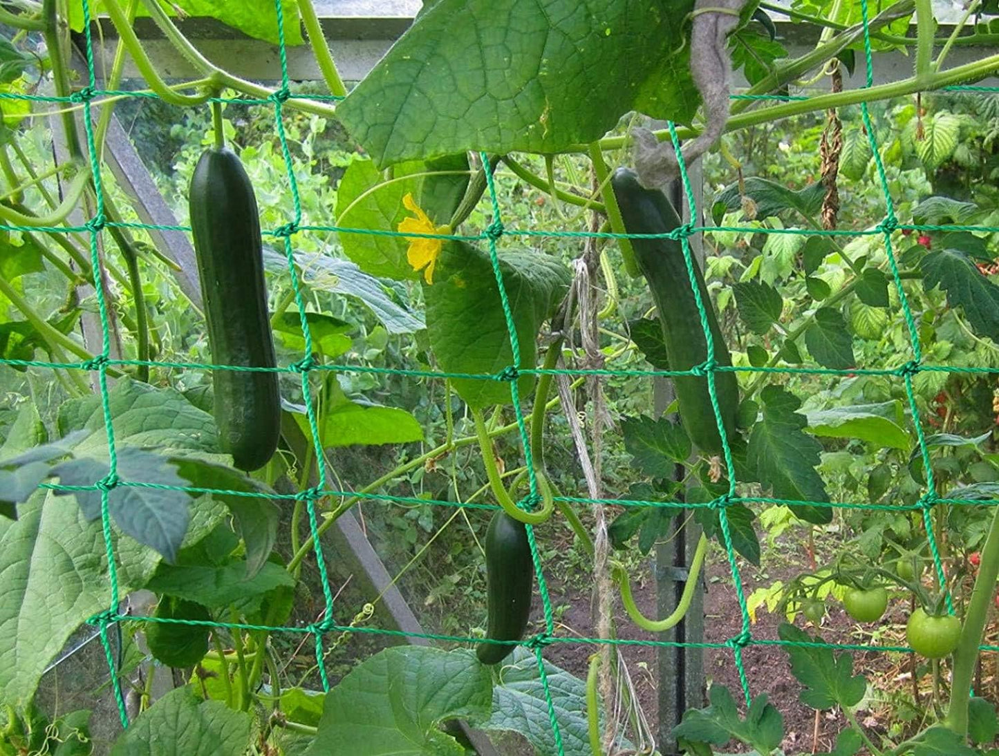 Trellis Netting for Climbing Plants - Heavy Duty Garden Trellis Netting for Cucumber, Vine, Fruits & Vegetables Tomato Plants Trellis Net, Climbing Vining Plants (1-Pack 8.2' x 6.6'Ft)