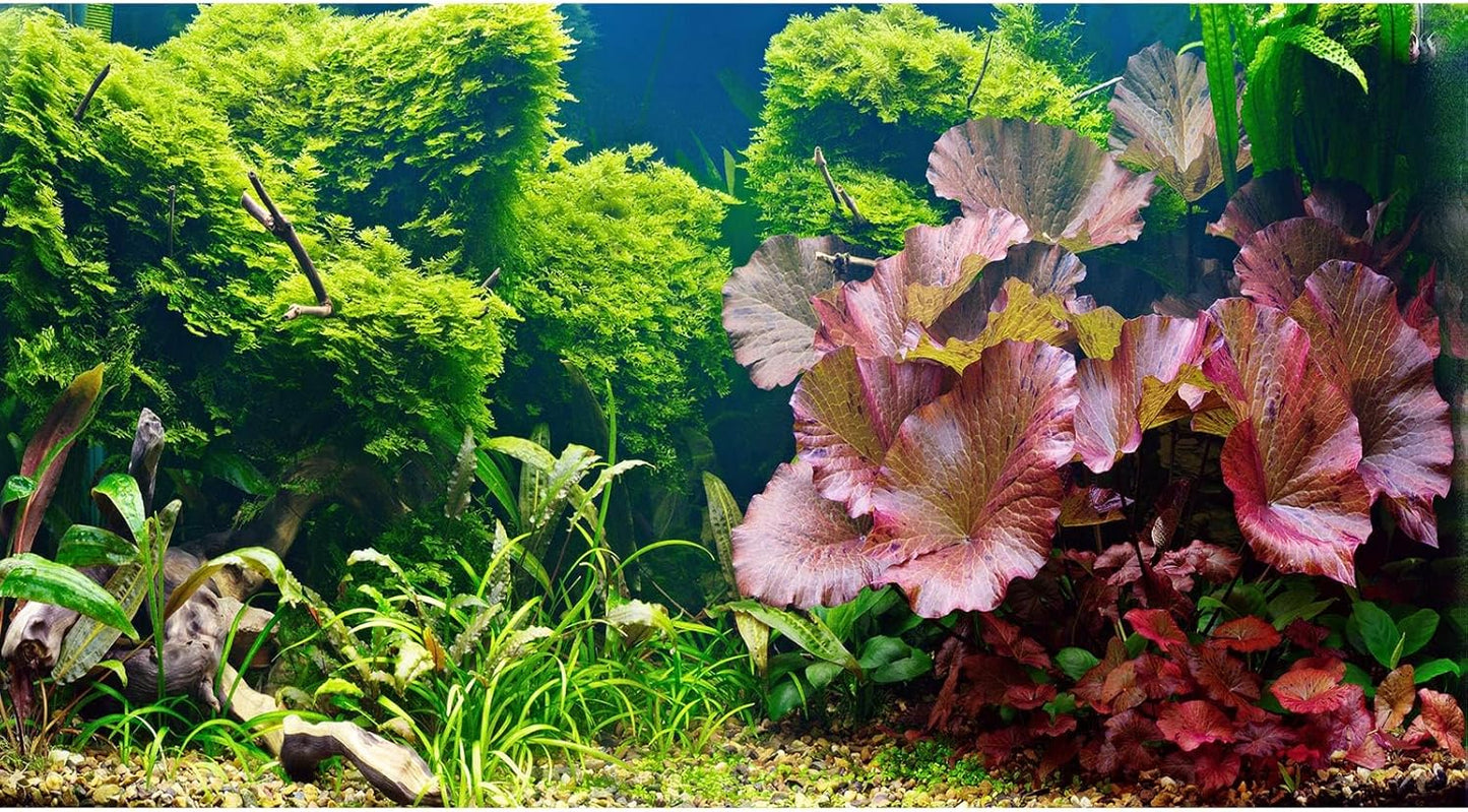 Aquarium Background Underwater Grass Leaves Pebble Aquarium Backdrop Vivid and Fresh Green Aquatic Plant Background Stone River Bed DeadWood Purple Leaves Tank Background Decor Vinyl 48x18in