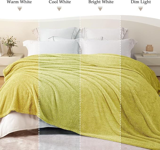 Exclusivo Mezcla Fleece King Size Bed Blanket, Ultra Soft, Lightweight and Fuzzy Light Green Blanket for Women, Home Decor, 90x104 Inches