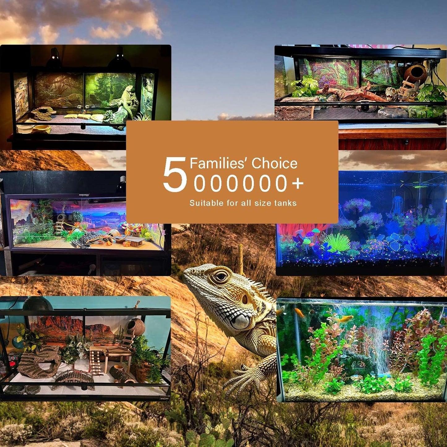 Underwater Aquarium Background Corals and Tropical Fish Terrarium Backdrop Rock Aquatic Plants Sunlight Rays Fish Tank Background Tank Aquarium Wallpaper Poster Decor 72x24in