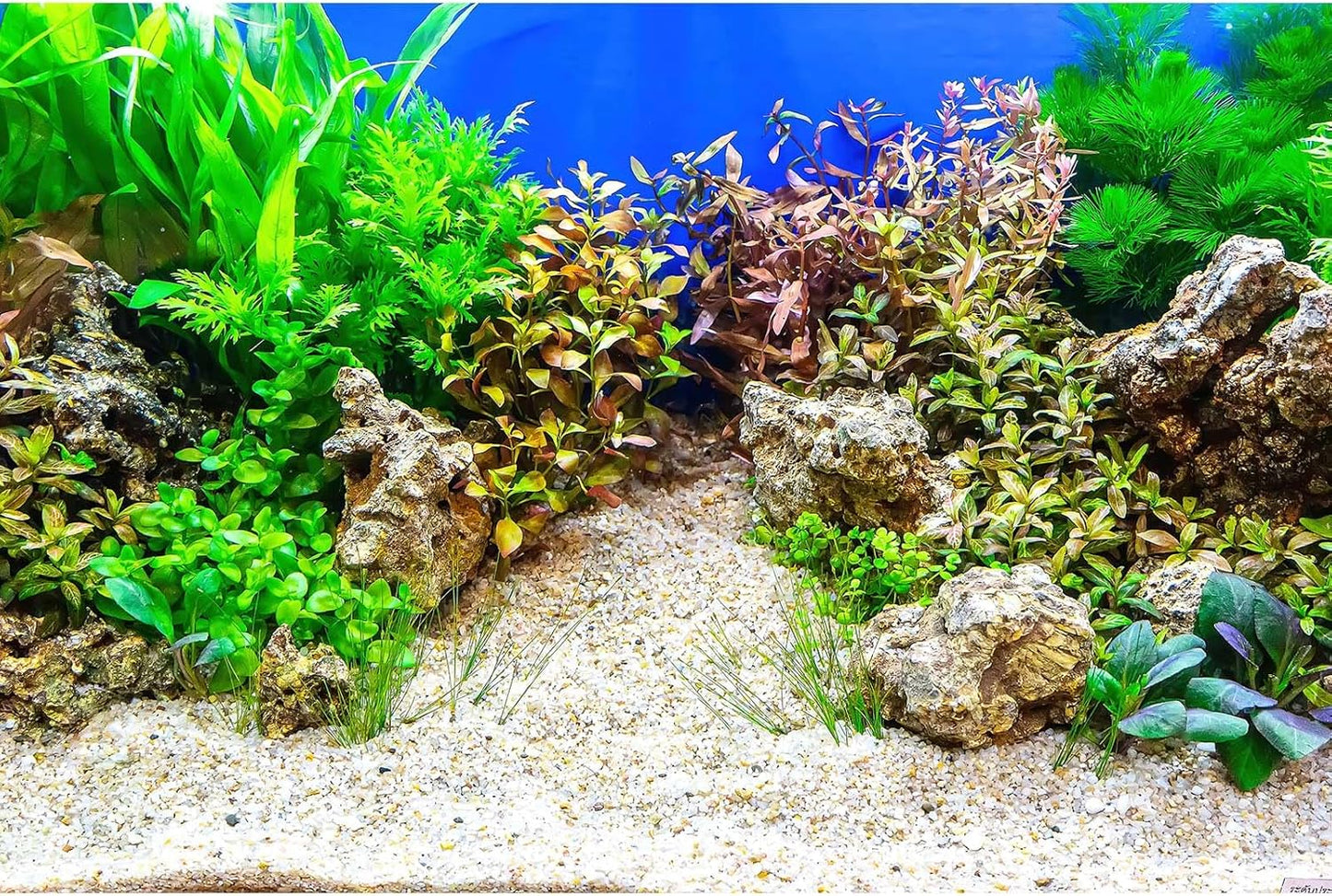 Aquarium Background Underwater Grass Leaves with Pebble Aquarium Backdrop Vivid and Fresh Green Aquatic Plant Stone River Bed and Lake Fish Tank Background Decor Vinyl 36x18in