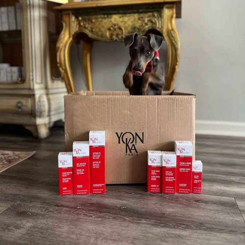 YonKa Mens Age Defense Moisturizer | Anti-Aging Daily Face Lotion for Dry and Mature Skin | Prevent Wrinkles with Nutrient Rich Creme | 1.4 fl oz