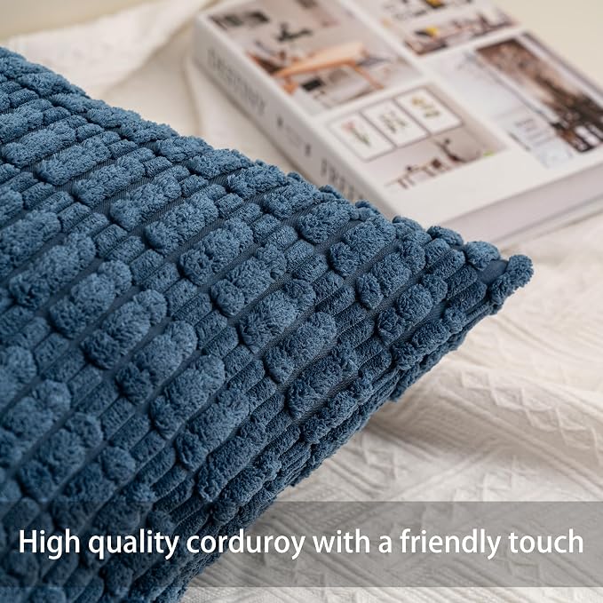 Aegero Pack of 2 Corduroy Decorative Throw Pillow Covers 12x20 Inch Soft Striped Pillow Covers Modern Farmhouse Home Decor for Sofa Living Room Couch Bed（Sky Blue）