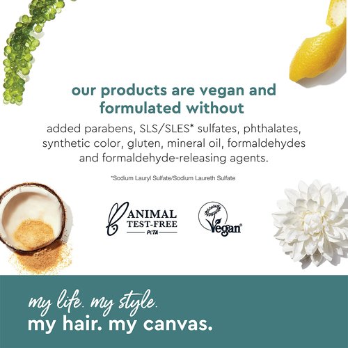 My Hair. My Canvas. Begin Again Vegan Curl Enhancing Conditioner for Curly, Wavy, and Coily Hair, 33 oz