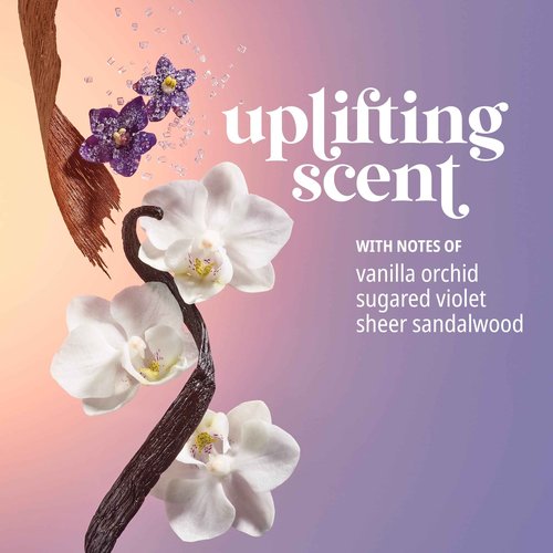 Sol de Janeiro Deeply Moisturizing Delicia Drench Body Butter & Cheirosa '59 Hair and Body Fragrance Mist Duo