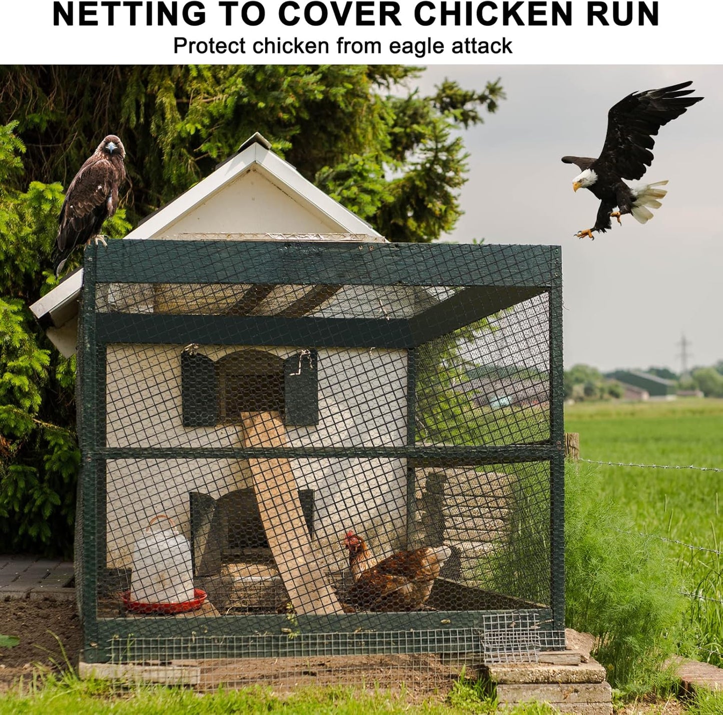 Bird Netting 50'x50 Hawk Net to Protect Chickens, Nylon 3/4" Mesh Poultry Netting for Chicken Coop Roof, Trellis Netting for Fruits Trees Plant