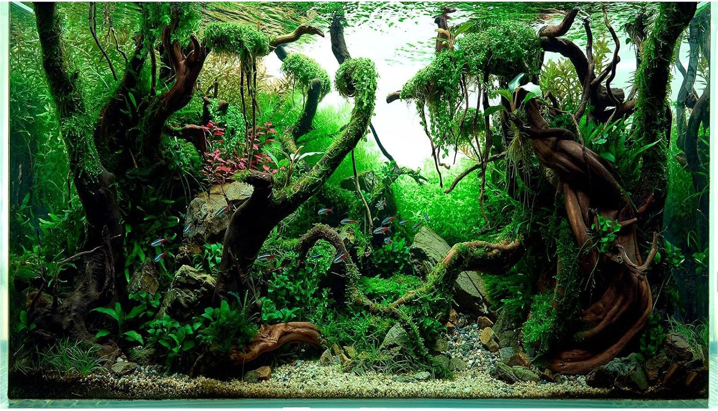 Aquarium Background Underwater Pebble Grass Leaves Aquarium Backdrop Vivid Fresh Green Aquatic Plant Stone River Bed Aquarium Backdrop Deadwood Purple Leaves Tank Background Vinyl 36x20in