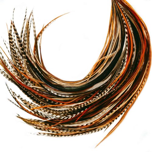 50 Natural Color Hair Extensions – 9”–14” Long – DIY Rooster Kit with 50 Micro-Link Beads – 100% Real Feathers – Eye-Catching Boho Style