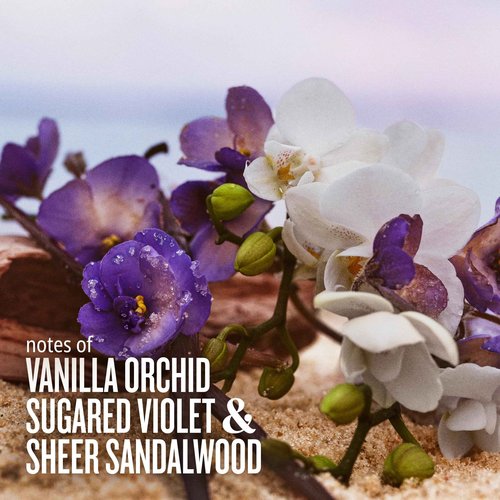 Sol de Janeiro Deeply Moisturizing Delicia Drench Body Butter & Cheirosa '59 Hair and Body Fragrance Mist Duo