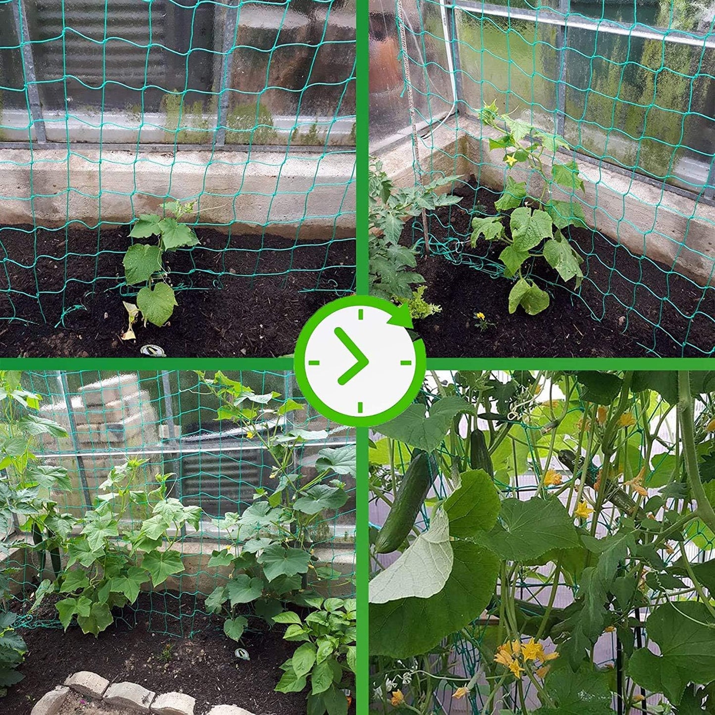 Trellis Netting for Climbing Plants - Heavy Duty Garden Trellis Netting for Cucumber, Vine, Fruits & Vegetables Tomato Plants Trellis Net, Climbing Vining Plants (1-Pack 3.3' x 6.6'Ft)