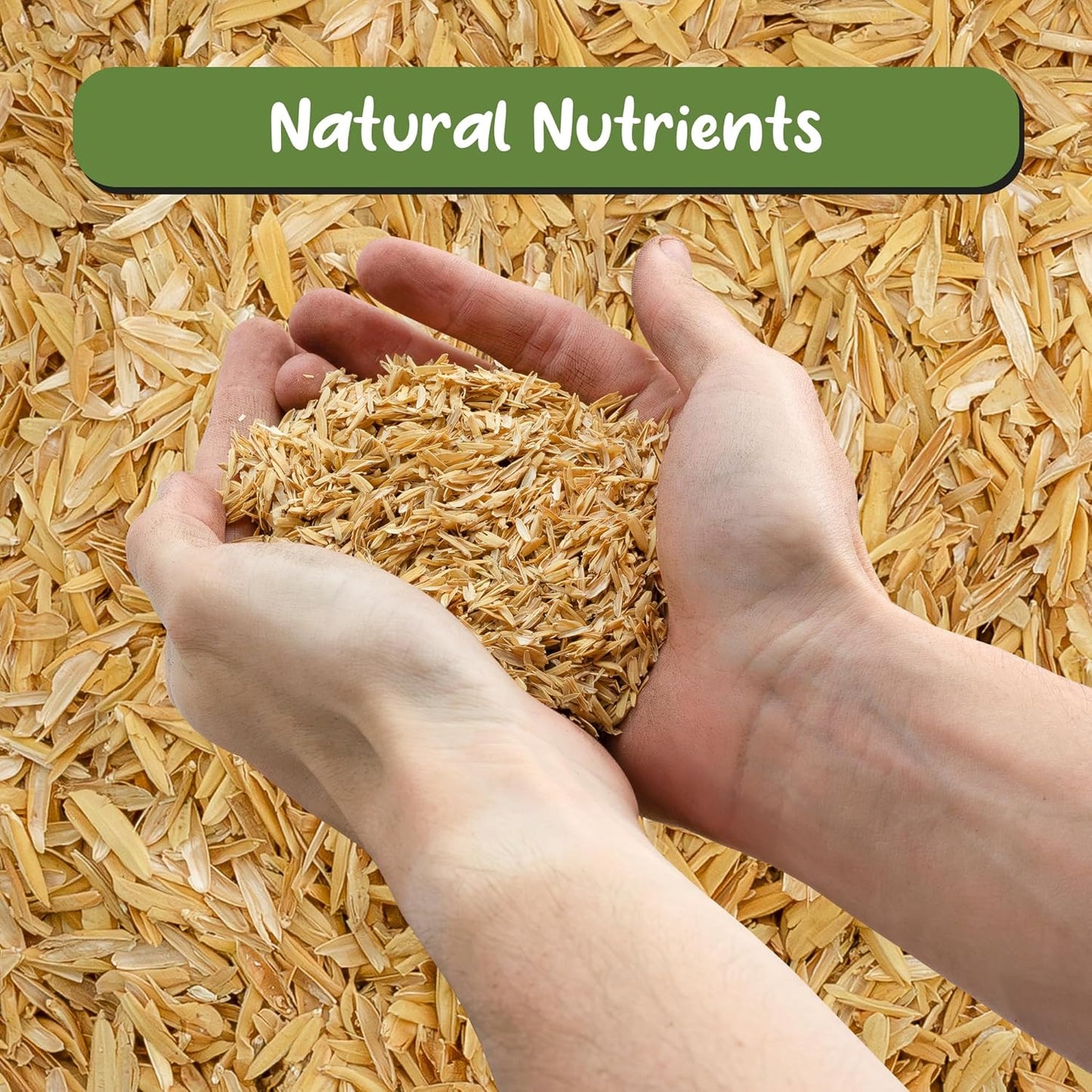 Organic Horticultural Grade Rice Hulls (8 Quarts); All-Natural Soil Amendment for Houseplants, Gardening, Seed Starting & Chicken Bedding